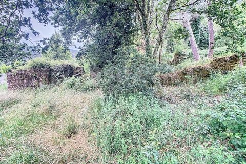 Villa i Candemil e Gondar, Viana do Castelo, Candemil e Gondar - € 85.000 | Ref: 2648 - foto 20