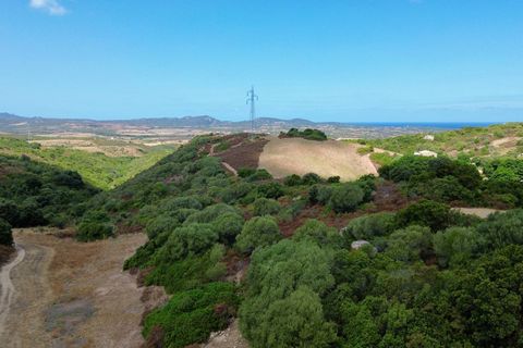 Villa i Aglientu, Sassari, Aglientu - € 400.000 | Ref: CBI040-781-10592 - foto 4