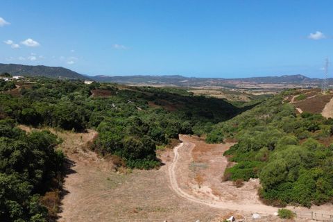 Villa i Aglientu, Sassari, Aglientu - € 400.000 | Ref: CBI040-781-10592 - foto 14