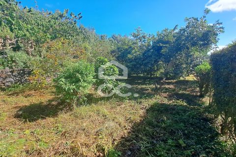 Villa a Rabo de Peixe, Sao Miguel, Rabo de Peixe - € 400.000 | Ref: 326/M/03468 - foto 45