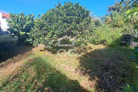Villa a Rabo de Peixe, Sao Miguel, Rabo de Peixe - € 400.000 | Ref: 326/M/03468 - foto 47