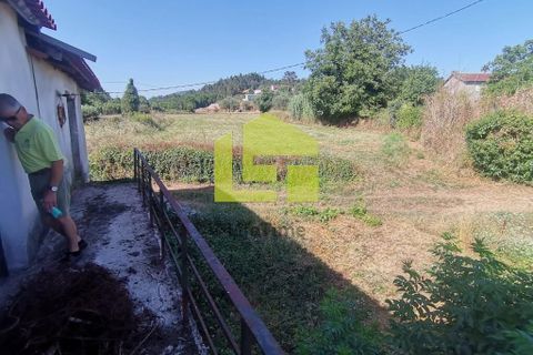Byhus i Penela, Coimbra, Penela - € 74.800 | Ref: LT1419 - foto 29