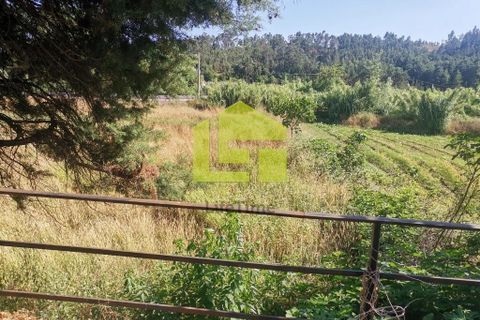 Byhus i Penela, Coimbra, Penela - € 74.800 | Ref: LT1419 - foto 10