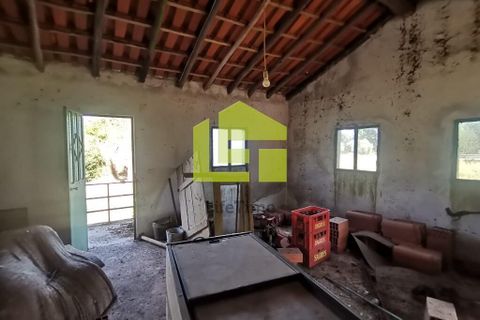 Byhus i Penela, Coimbra, Penela - € 74.800 | Ref: LT1419 - foto 31