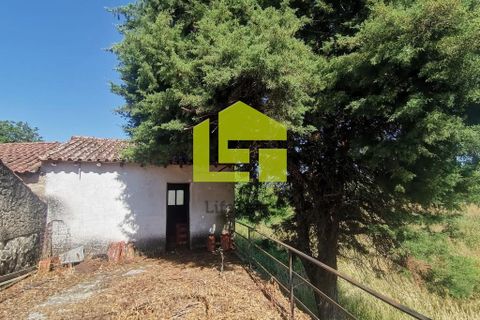 Byhus i Penela, Coimbra, Penela - € 74.800 | Ref: LT1419 - foto 11