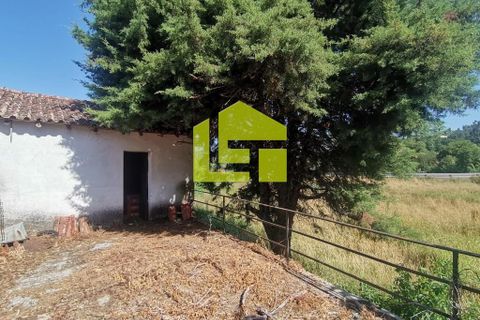 Byhus i Penela, Coimbra, Penela - € 74.800 | Ref: LT1419 - foto 13