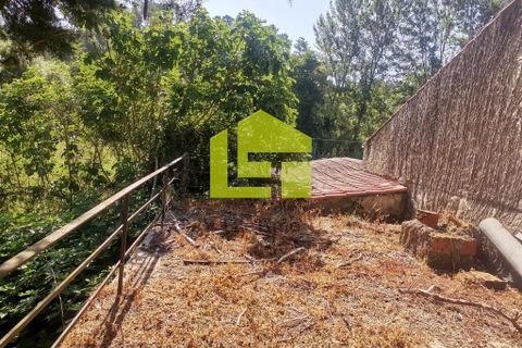 Byhus i Penela, Coimbra, Penela - € 74.800 | Ref: LT1419 - foto 35