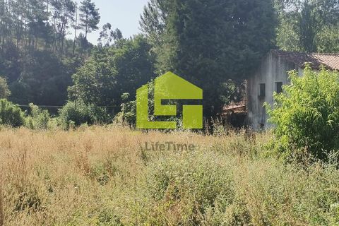 Byhus i Penela, Coimbra, Penela - € 74.800 | Ref: LT1419 - foto 14