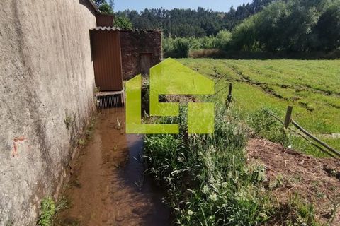 Byhus i Penela, Coimbra, Penela - € 74.800 | Ref: LT1419 - foto 17