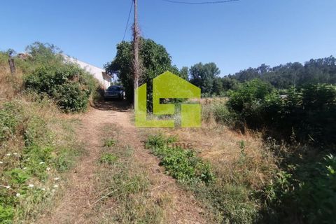 Byhus i Penela, Coimbra, Penela - € 74.800 | Ref: LT1419 - foto 19
