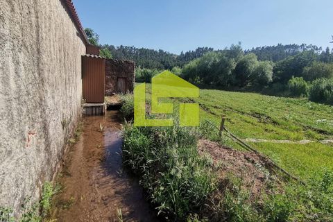 Byhus i Penela, Coimbra, Penela - € 74.800 | Ref: LT1419 - foto 20