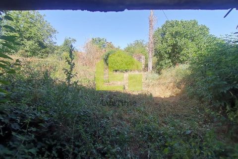 Byhus i Penela, Coimbra, Penela - € 74.800 | Ref: LT1419 - foto 22