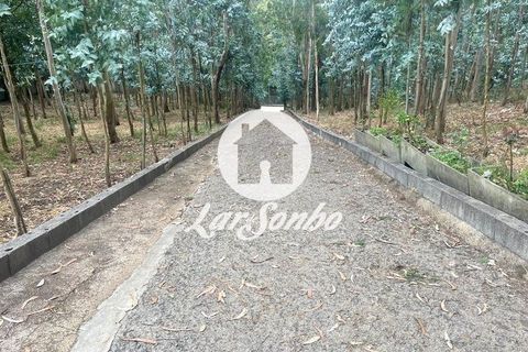 Landejendom i Vila do Conde, Porto, Vila do Conde - € 495.000 | Ref: 240-Q-25835 - foto 16