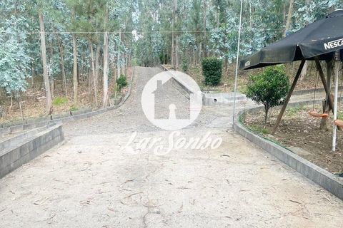 Landejendom i Vila do Conde, Porto, Vila do Conde - € 495.000 | Ref: 240-Q-25835 - foto 19
