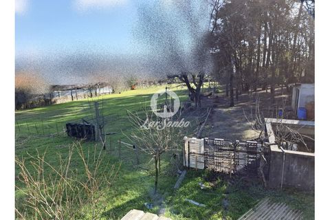 Villa i Santo Tirso, Porto, Santo Tirso - € 715.000 | Ref: 240-M-25836 - foto 14