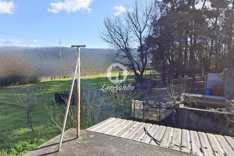 Villa i Santo Tirso, Porto, Santo Tirso - € 715.000 | Ref: 240-M-25836 - foto 15