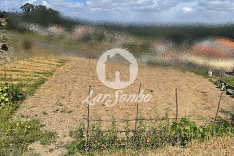 Helårsgrund i Trofa, Porto, Trofa - € 78.000 | Ref: 240-T-25838 - foto 4