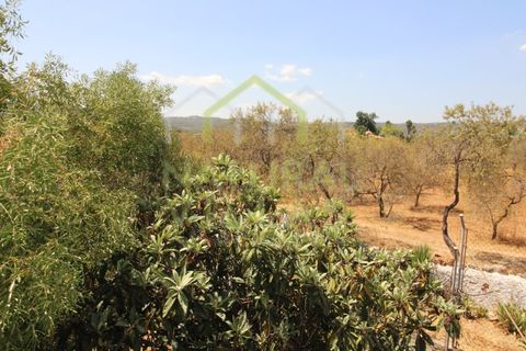 Villa i Estoi, Faro, Estoi - € 260.000 | Ref: MOR_2857X_VEND - foto 5