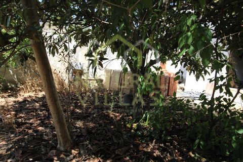 Villa i Estoi, Faro, Estoi - € 260.000 | Ref: MOR_2857X_VEND - foto 6