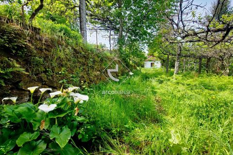Byhus i Ponte da Barca, Viana do Castelo, Ponte da Barca - € 77.000 | Ref: AV6331 - foto 16