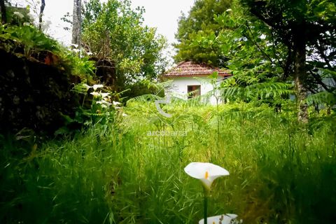 Byhus i Ponte da Barca, Viana do Castelo, Ponte da Barca - € 77.000 | Ref: AV6331 - foto 21