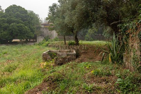 Villa i Barcelos, Braga, Barcelos - € 190.000 | Ref: C0257-01393 - foto 5