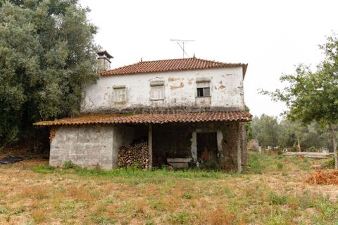 Villa i Barcelos, Braga, Barcelos - € 190.000 | Ref: C0257-01393 - foto 3