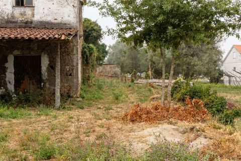 Villa i Barcelos, Braga, Barcelos - € 190.000 | Ref: C0257-01393 - foto 7