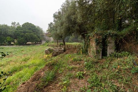 Villa i Barcelos, Braga, Barcelos - € 190.000 | Ref: C0257-01393 - foto 8