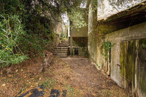 Villa i Barcelos, Braga, Barcelos - € 190.000 | Ref: C0257-01393 - foto 11