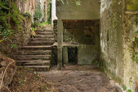 Villa i Barcelos, Braga, Barcelos - € 190.000 | Ref: C0257-01393 - foto 12