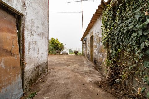Villa i Barcelos, Braga, Barcelos - € 190.000 | Ref: C0257-01393 - foto 13