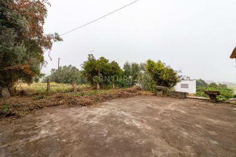 Villa i Barcelos, Braga, Barcelos - € 190.000 | Ref: C0257-01393 - foto 14