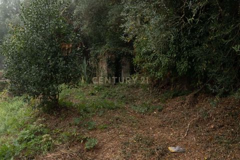 Villa i Barcelos, Braga, Barcelos - € 190.000 | Ref: C0257-01393 - foto 15