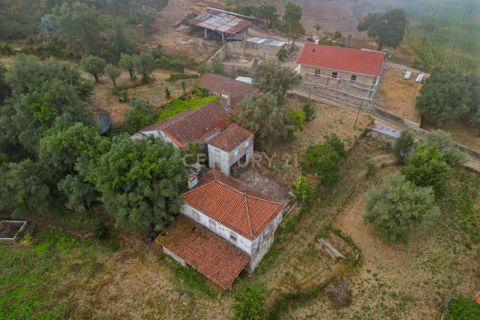 Villa i Barcelos, Braga, Barcelos - € 190.000 | Ref: C0257-01393 - foto 16
