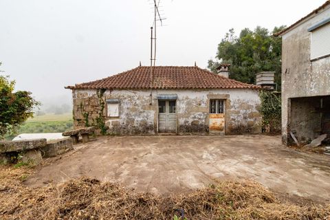 Villa i Barcelos, Braga, Barcelos - € 190.000 | Ref: C0257-01393 - foto 17