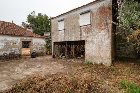 Villa i Barcelos, Braga, Barcelos - € 190.000 | Ref: C0257-01393 - foto 22