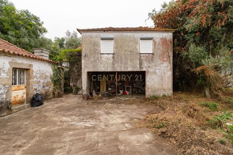 Villa i Barcelos, Braga, Barcelos - € 190.000 | Ref: C0257-01393 - foto 31