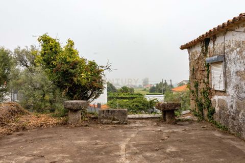 Villa i Barcelos, Braga, Barcelos - € 190.000 | Ref: C0257-01393 - foto 32