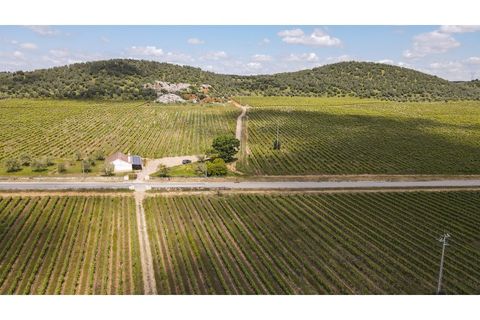 Farm i Estremoz, Evora, Estremoz - € 1.800.000 | Ref: AG050 - foto 4