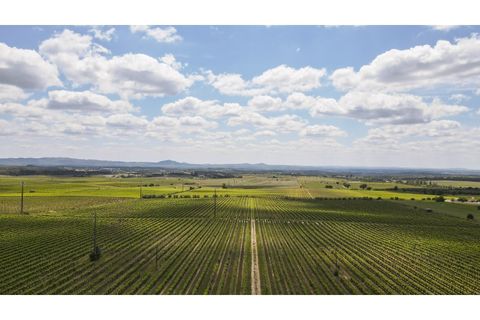 Farm i Estremoz, Evora, Estremoz - € 1.800.000 | Ref: AG050 - foto 6