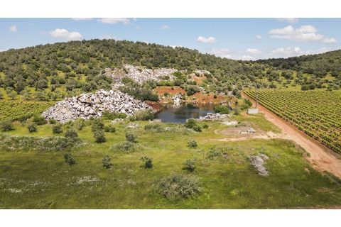 Farm i Estremoz, Evora, Estremoz - € 1.800.000 | Ref: AG050 - foto 9