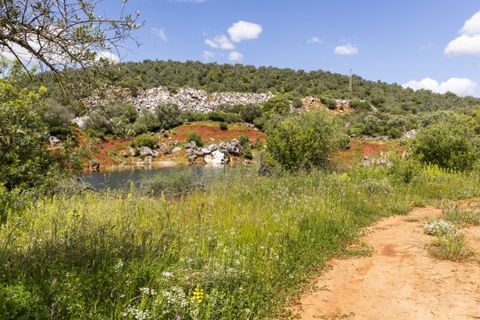 Farm i Estremoz, Evora, Estremoz - € 1.800.000 | Ref: AG050 - foto 14
