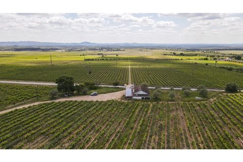 Farm i Estremoz, Evora, Estremoz - € 1.800.000 | Ref: AG050 - foto 5