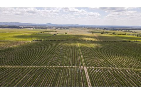 Farm i Estremoz, Evora, Estremoz - € 1.800.000 | Ref: AG050 - foto 8