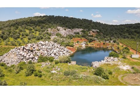 Farm i Estremoz, Evora, Estremoz - € 1.800.000 | Ref: AG050 - foto 10