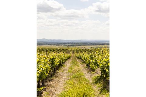 Farm i Estremoz, Evora, Estremoz - € 1.800.000 | Ref: AG050 - foto 19