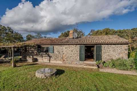 Landejendom i Benano, Terni, Benano - € 2.450.000 | Ref: ORV01-572942 - foto 50