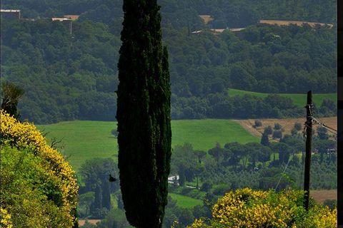 Farm hus i Monticchiello, Siena, Monticchiello - € 2.400.000 | Ref: PIE01-572944 - foto 24