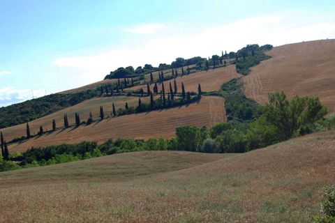 Farm hus i Monticchiello, Siena, Monticchiello - € 2.400.000 | Ref: PIE01-572944 - foto 26